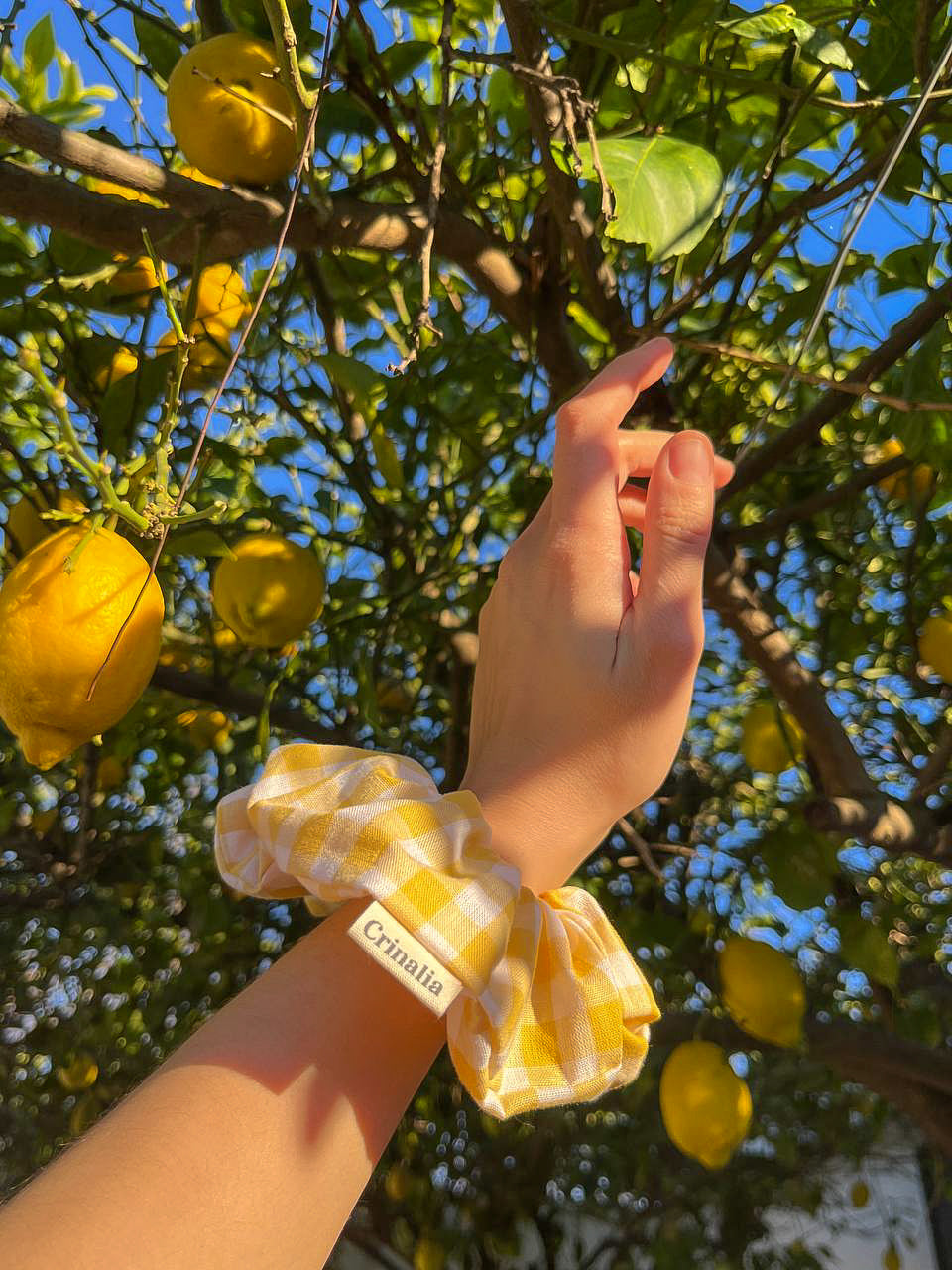 Scrunchie L - yellow gingham 💛